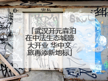 武汉开元森泊在中法生态城盛大开业 华中文旅再添新地标