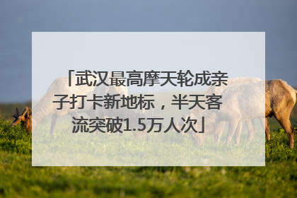 武汉最高摩天轮成亲子打卡新地标，半天客流突破1.5万人次