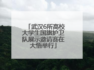 武汉6所高校大学生国旗护卫队展示邀请赛在大悟举行