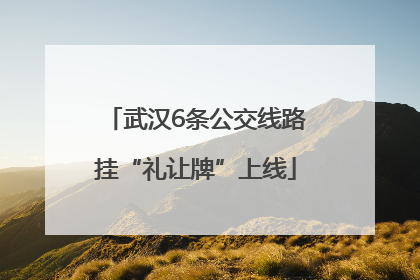 武汉6条公交线路挂“礼让牌”上线