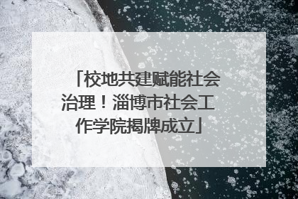 校地共建赋能社会治理！淄博市社会工作学院揭牌成立