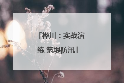 桦川：实战演练 筑堤防汛