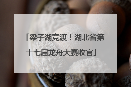 梁子湖竞渡！湖北省第十七届龙舟大赛收官