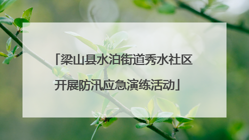 梁山县水泊街道秀水社区开展防汛应急演练活动