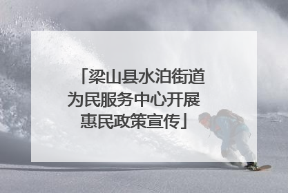 梁山县水泊街道为民服务中心开展惠民政策宣传