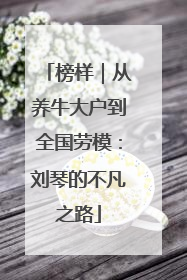 榜样｜从养牛大户到全国劳模：刘琴的不凡之路