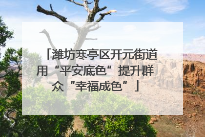 潍坊寒亭区开元街道用“平安底色”提升群众“幸福成色”