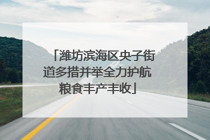 潍坊滨海区央子街道多措并举全力护航粮食丰产丰收