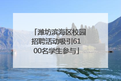 潍坊滨海区校园招聘活动吸引6100名学生参与