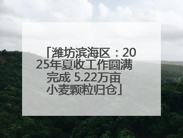 潍坊滨海区：2025年夏收工作圆满完成 5.22万亩小麦颗粒归仓