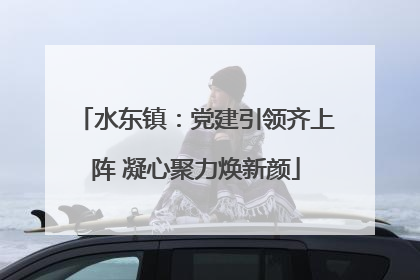 水东镇：党建引领齐上阵 凝心聚力焕新颜