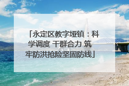永定区教字垭镇：科学调度 干群合力 筑牢防洪抢险坚固防线