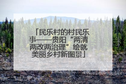 民乐村的村民乐事——贵阳“两清两改两治理”绘就美丽乡村新图景