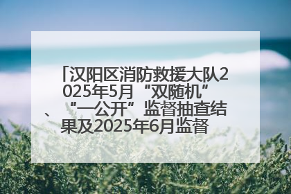汉阳区消防救援大队2025年5月“双随机”、“一公开”监督抽查结果及2025年6月监督抽查任务公示