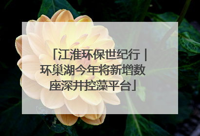 江淮环保世纪行｜环巢湖今年将新增数座深井控藻平台
