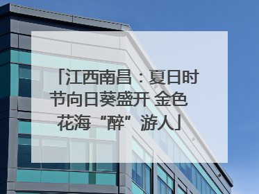 江西南昌：夏日时节向日葵盛开 金色花海“醉”游人