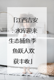 江西吉安：水库迎来生态捕鱼季 鱼跃人欢获丰收