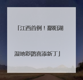 江西首例！鄱阳湖湿地彩鹮喜添新丁