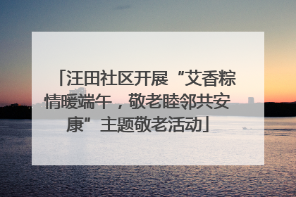 汪田社区开展“艾香粽情暖端午，敬老睦邻共安康”主题敬老活动