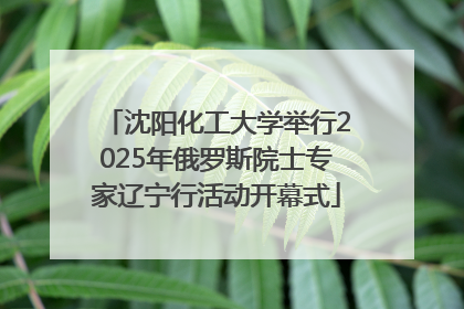 沈阳化工大学举行2025年俄罗斯院士专家辽宁行活动开幕式