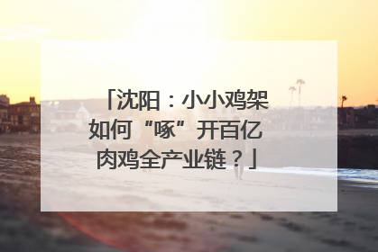 沈阳：小小鸡架如何“啄”开百亿肉鸡全产业链？