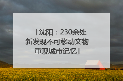 沈阳：230余处新发现不可移动文物重现城市记忆