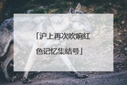 沪上再次吹响红色记忆集结号