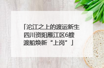 沱江之上的渡运新生 四川资阳雁江区6艘渡船焕新“上岗”