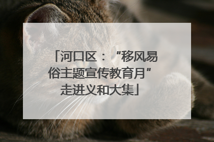 河口区：“移风易俗主题宣传教育月”走进义和大集