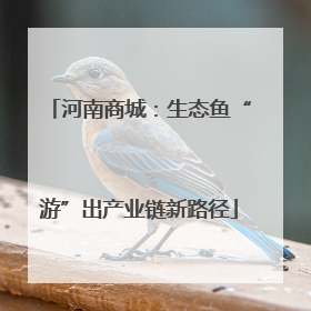 河南商城：生态鱼“游”出产业链新路径