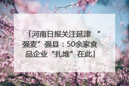 河南日报关注延津 “强麦”强县：50余家食品企业“扎堆”在此