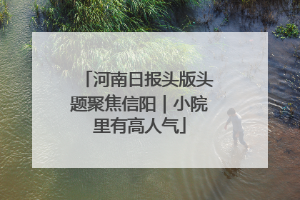 河南日报头版头题聚焦信阳｜小院里有高人气