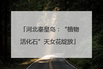 河北秦皇岛：“植物活化石”天女花绽放