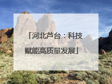 河北芦台：科技赋能高质量发展