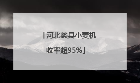 河北蠡县小麦机收率超95%