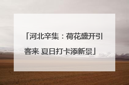 河北辛集：荷花盛开引客来 夏日打卡添新景