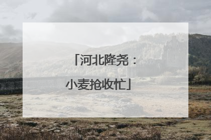 河北隆尧：小麦抢收忙