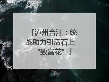 泸州合江：统战助力引活石上“致富花”