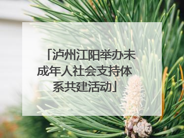 泸州江阳举办未成年人社会支持体系共建活动