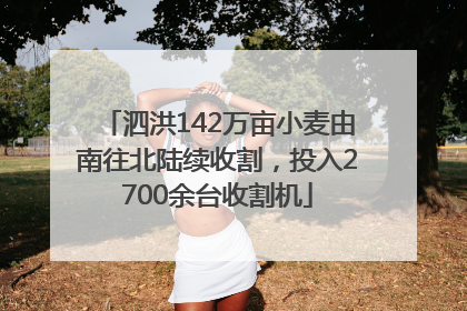 泗洪142万亩小麦由南往北陆续收割，投入2700余台收割机