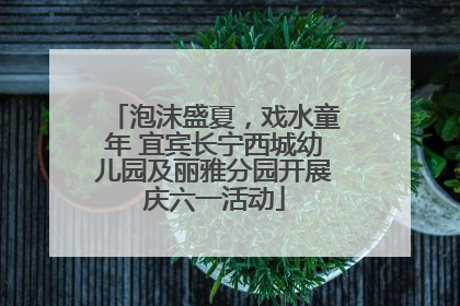 泡沫盛夏，戏水童年 宜宾长宁西城幼儿园及丽雅分园开展庆六一活动