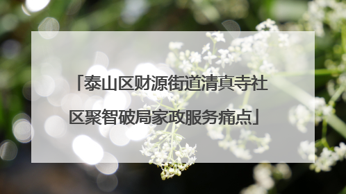 泰山区财源街道清真寺社区聚智破局家政服务痛点
