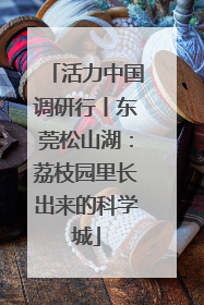 活力中国调研行丨东莞松山湖：荔枝园里长出来的科学城