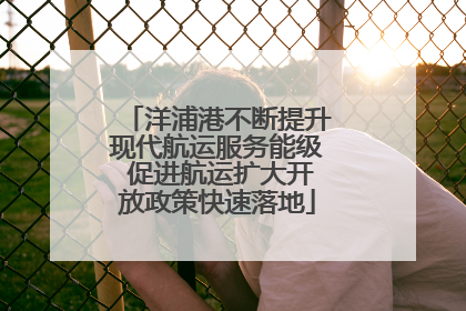 洋浦港不断提升现代航运服务能级 促进航运扩大开放政策快速落地