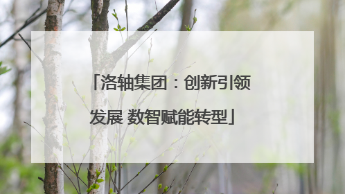 洛轴集团：创新引领发展 数智赋能转型