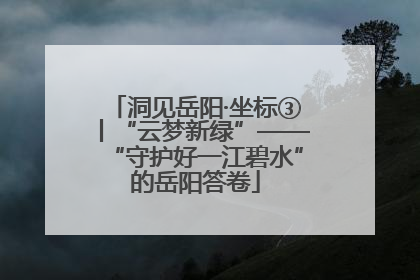 洞见岳阳·坐标③丨“云梦新绿”——“守护好一江碧水”的岳阳答卷