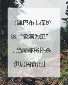 津巴布韦保护区“象满为患”，当局称将扑杀供居民食用