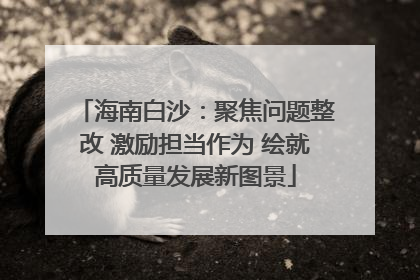 海南白沙：聚焦问题整改 激励担当作为 绘就高质量发展新图景