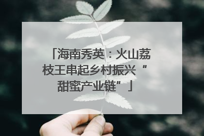 海南秀英：火山荔枝王串起乡村振兴“甜蜜产业链”