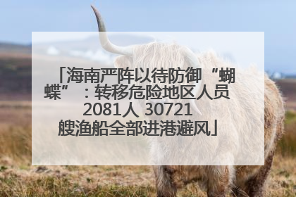海南严阵以待防御“蝴蝶”：转移危险地区人员2081人 30721艘渔船全部进港避风